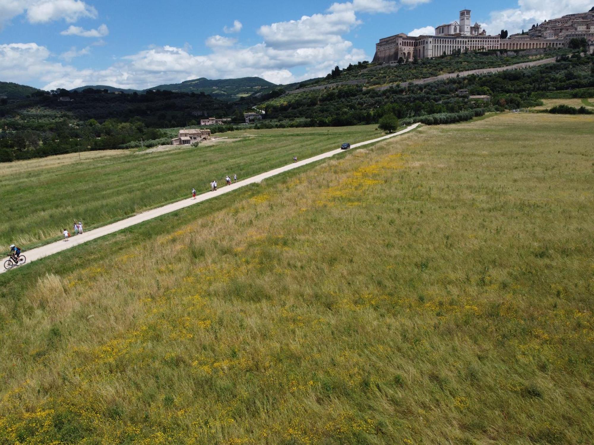 Agriturismo Molinella Ассизи Экстерьер фото